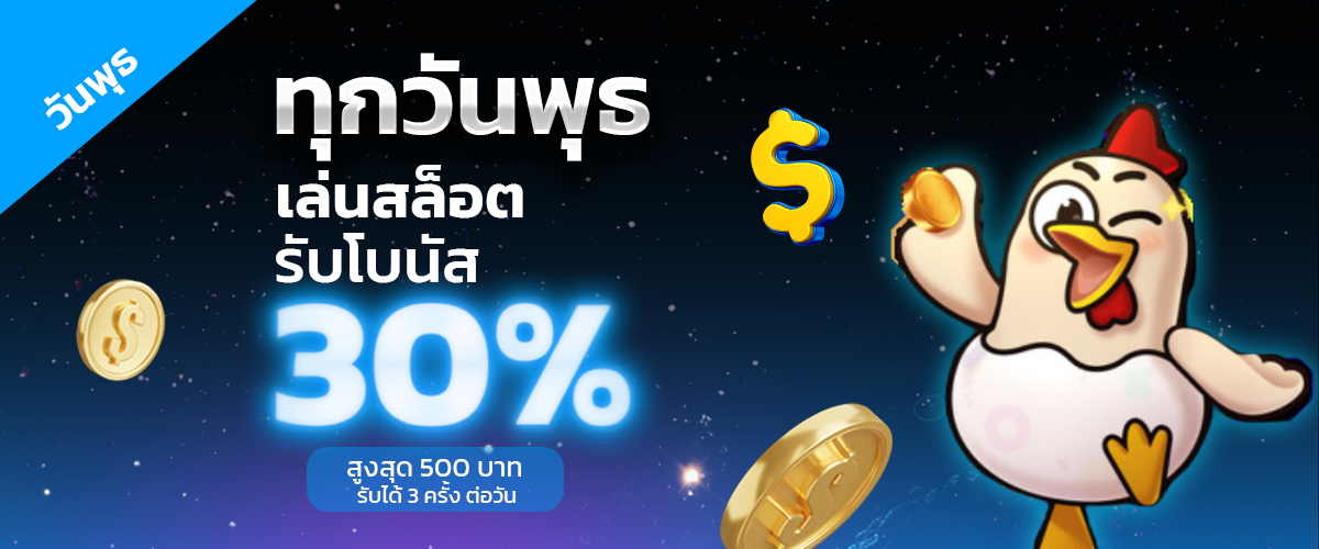 โปรโมชั่น1